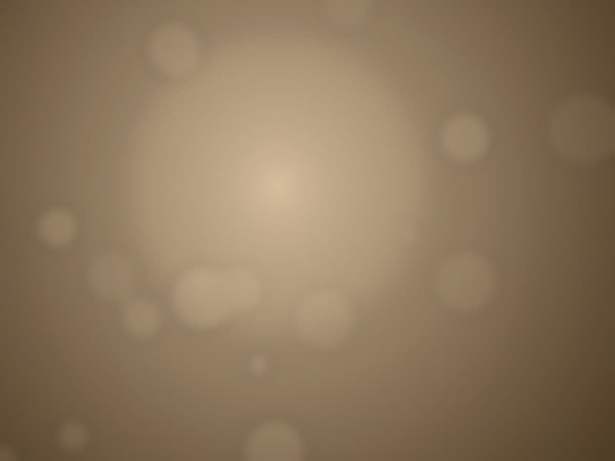 ทีมงาน The Simple Cafe & Bakery