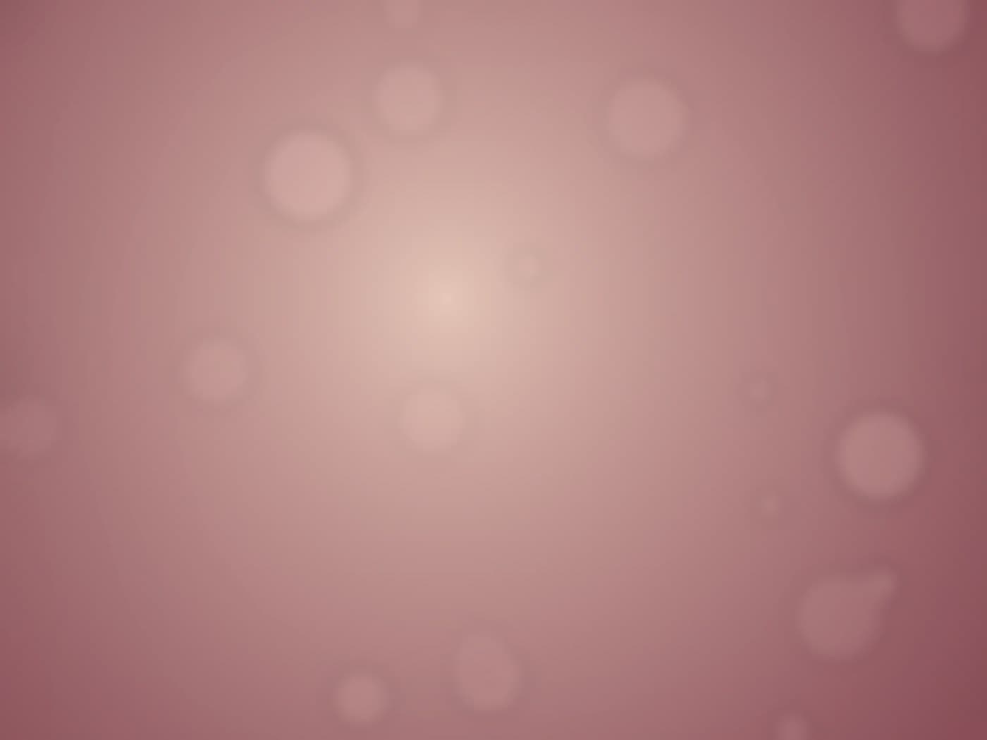 ดอกไม้สดใสที่ Market Flowers zone