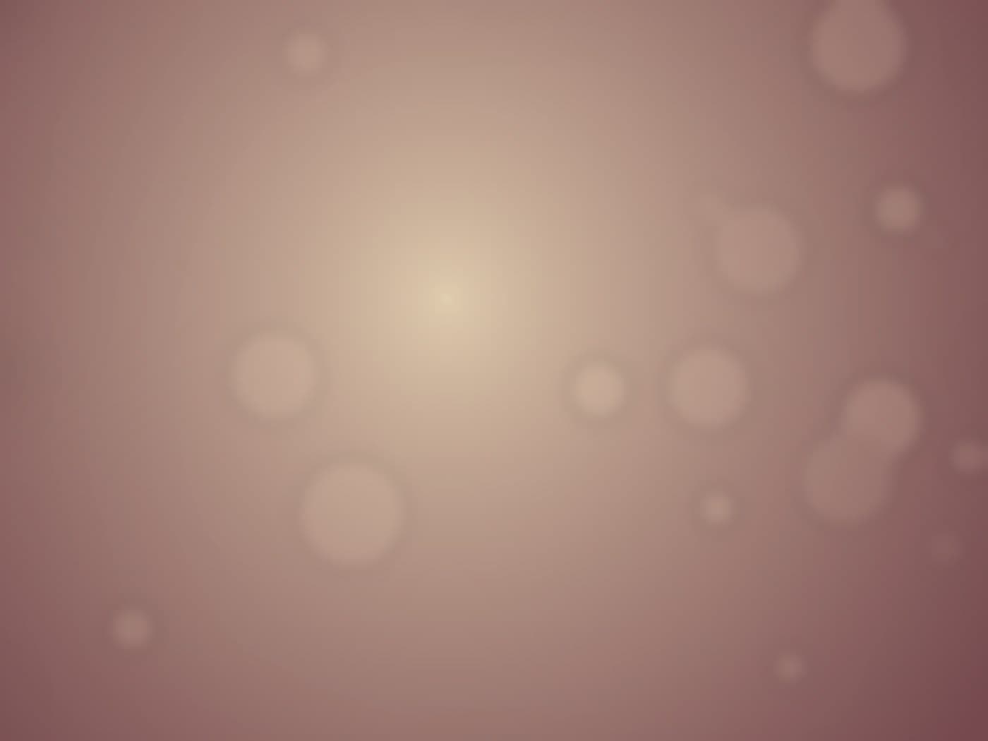 โซน Market Flowers สีสันสดใส