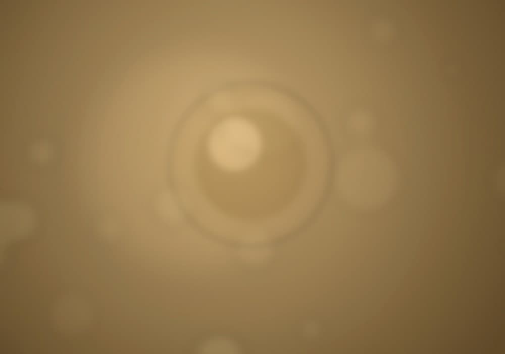 พาสต้าคาร์โบนาร่า Pasta Carbonara