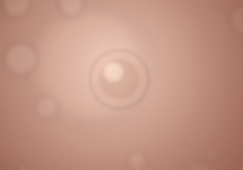 ชีสเค้กโฮมเมด Cheesecake