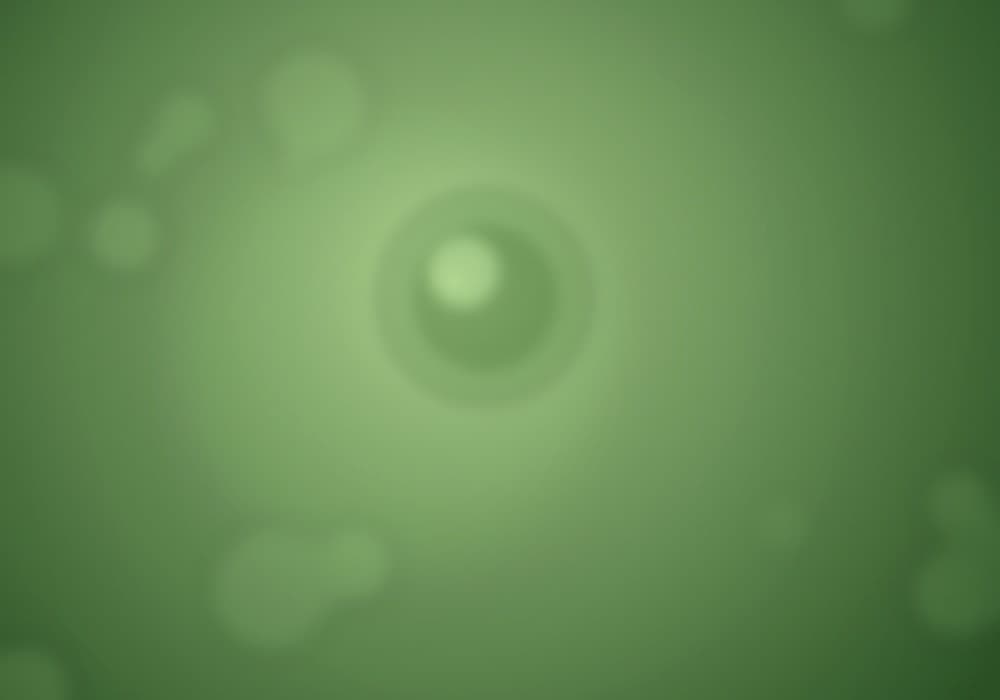 Pure Matcha มัทฉะแท้