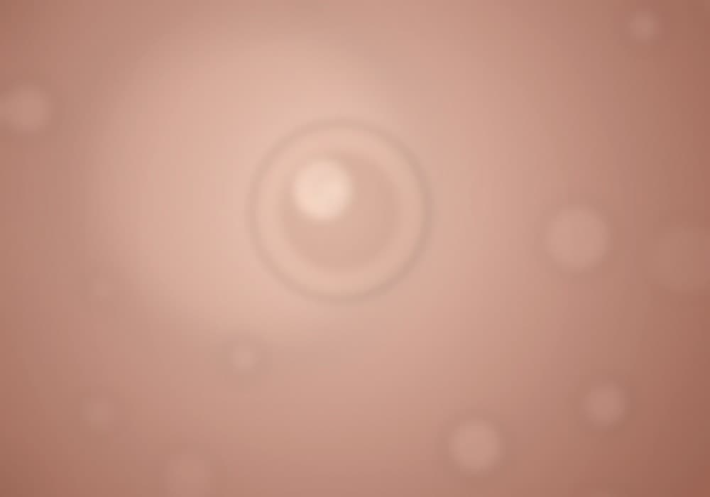 ทีรามิสุเค้ก Tiramisu Cake