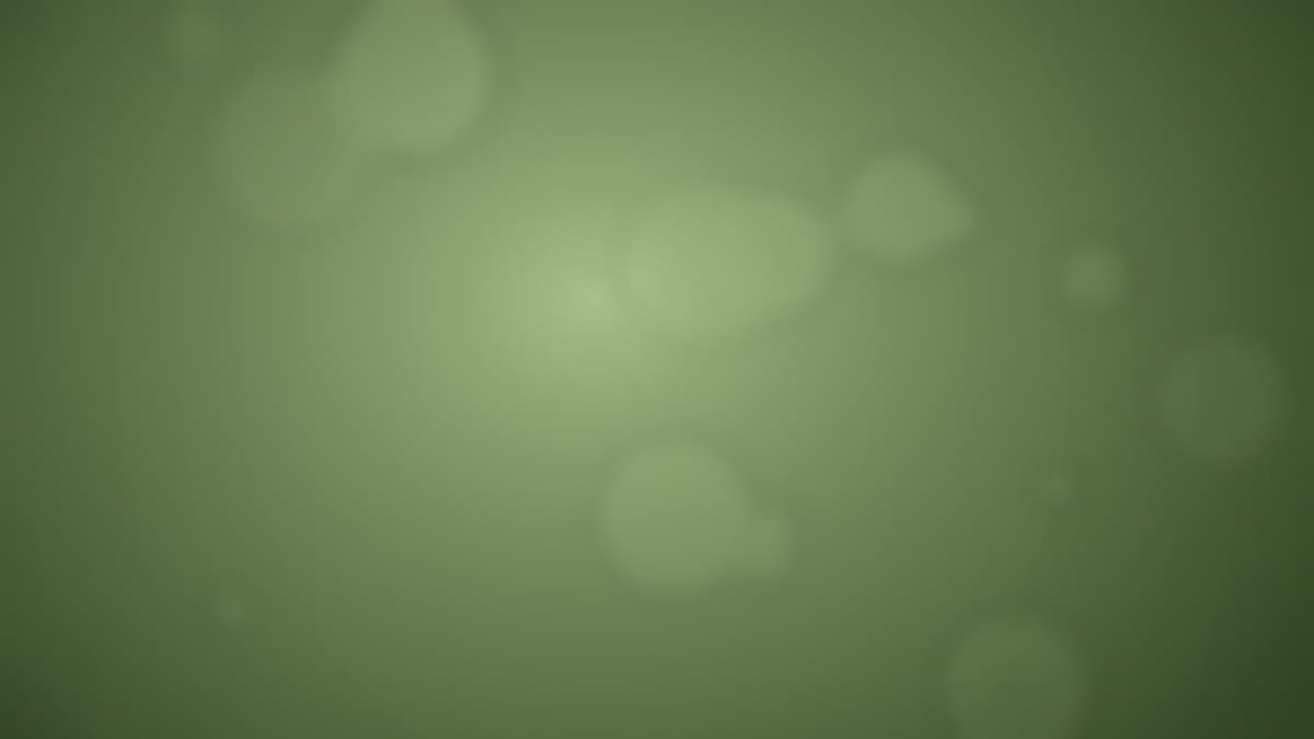 คาเฟ่ Pet-Friendly ขอนแก่น พาหมาเข้าได้ The Simple Cafe